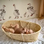 Set stenskih nalepk Gosi 100×50 cm - slika 4