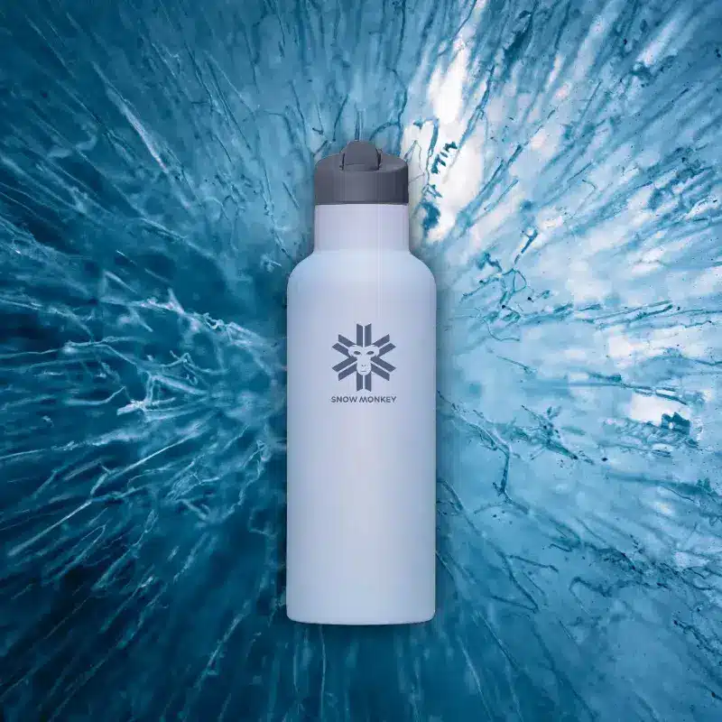 Snow Monkey termo posoda Go-Getter 0,6 L - Arctic1