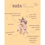 Logopedska pravljica: KUŽA RINO - slika 5